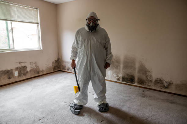 Best Mold Removal for HVAC Installations  in Twisp, WA